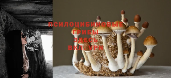 дурь Нея