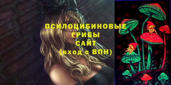 крисы Нефтекумск
