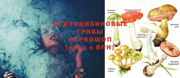 дурь Нея