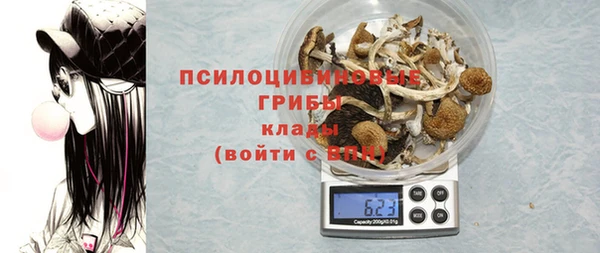 крисы Нефтекумск