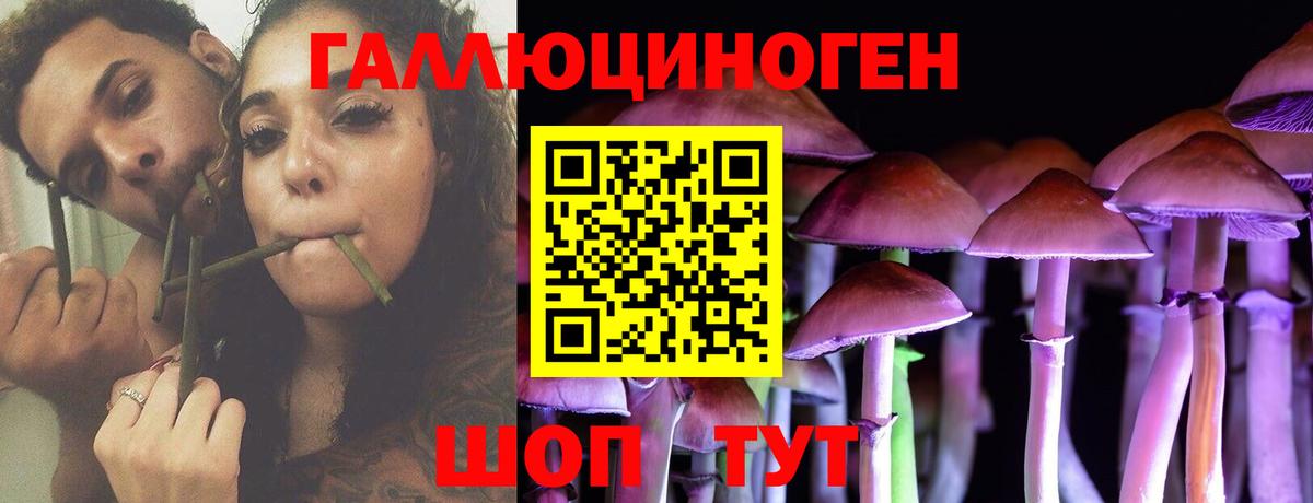 Псилоцибиновые грибы ЛСД Дербент